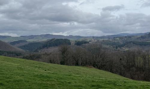 2024-02-20-Nizerolles08