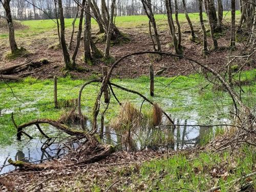 2024-02-26-Bellerive01