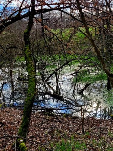 2024-02-26-Bellerive02