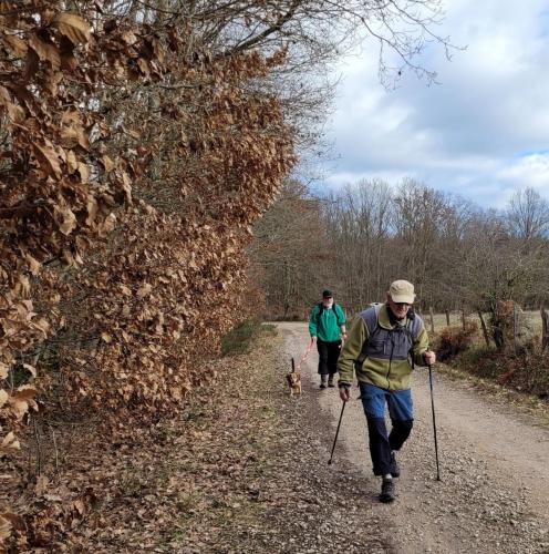 2024-02-26-Bellerive04