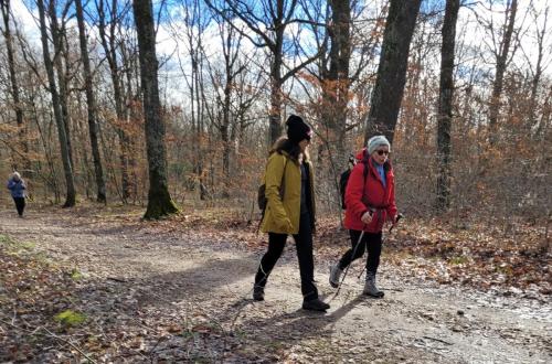 2024-02-26-Bellerive05