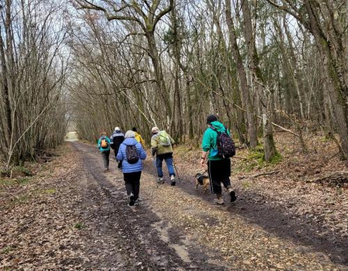 2024-02-26-Bellerive07