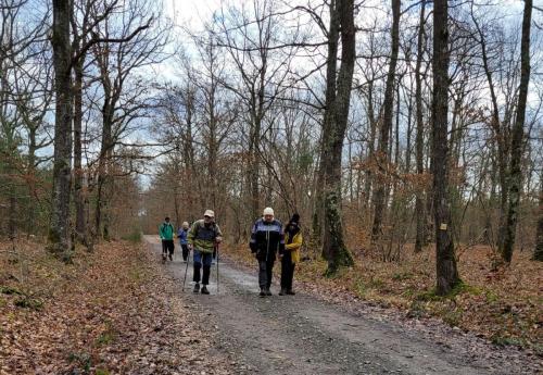 2024-02-26-Bellerive10