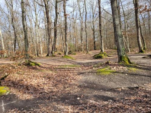 2024-02-26-Bellerive11