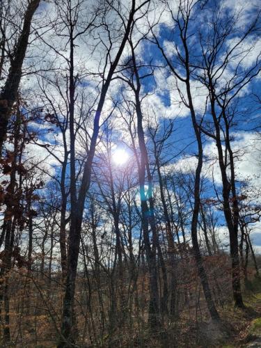 2024-02-26-Bellerive12