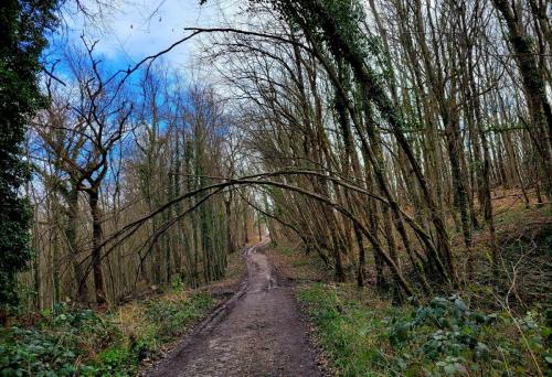 2024-02-26-Bellerive13