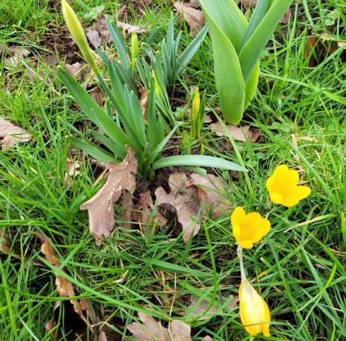 2024-02-26-Bellerive14