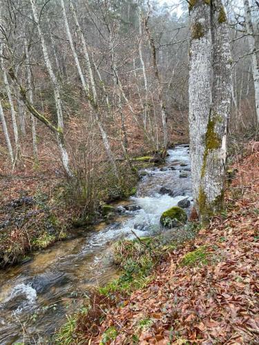 2024-02-27-StClement03