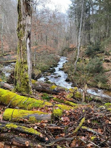 2024-02-27-StClement04