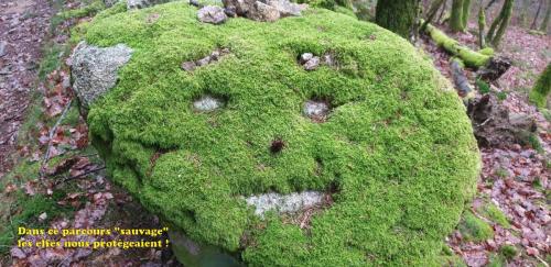 2024-02-27-StClement11