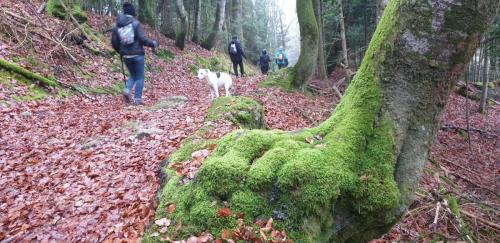 2024-02-27-StClement12