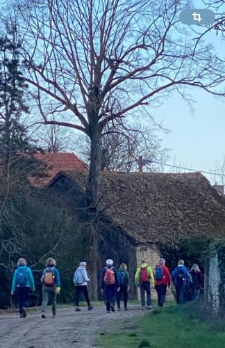 2024-02-29-Effiat15