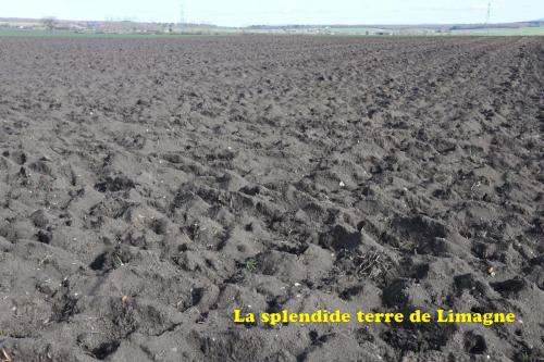 2024-02-29-Effiat19