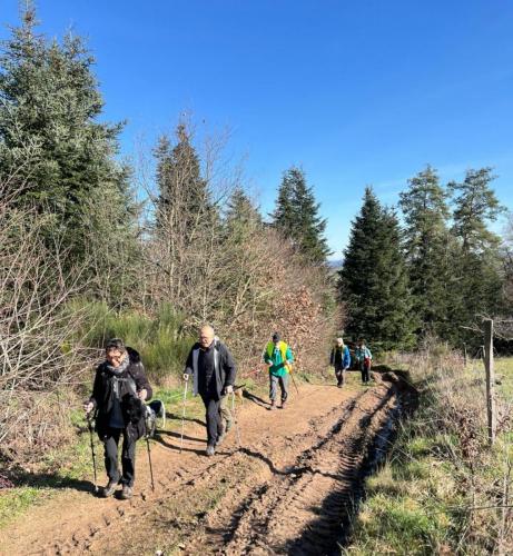 2024-02-29-Isserpent01