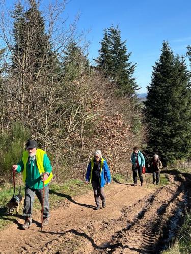 2024-02-29-Isserpent02