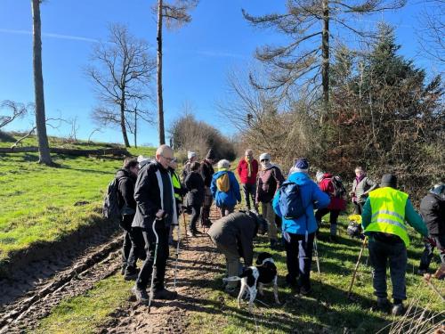 2024-02-29-Isserpent03