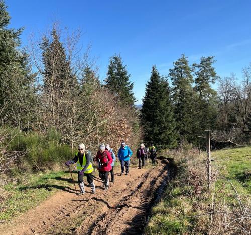 2024-02-29-Isserpent08