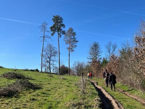 2024-02-29-Isserpent09