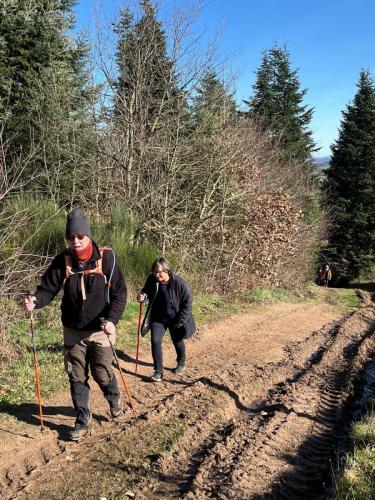 2024-02-29-Isserpent10