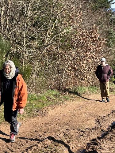 2024-02-29-Isserpent11