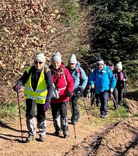 2024-02-29-Isserpent12