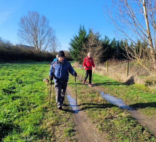 2024-03-04-BoiredesCarres01