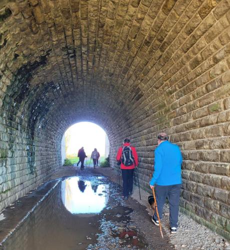 2024-03-04-BoiredesCarres03