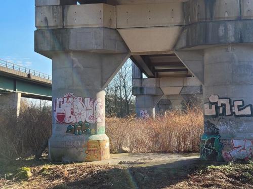 2024-03-04-BoiredesCarres05