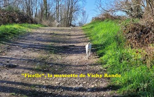 2024-03-04-BoiredesCarres07