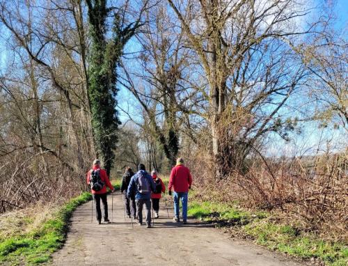 2024-03-04-BoiredesCarres08