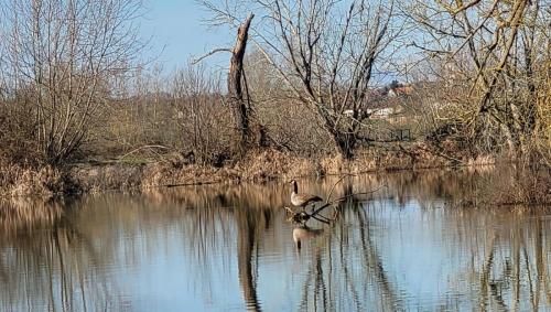 2024-03-04-BoiredesCarres09