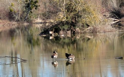 2024-03-04-BoiredesCarres10