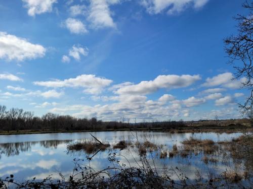 2024-03-04-BoiredesCarres12