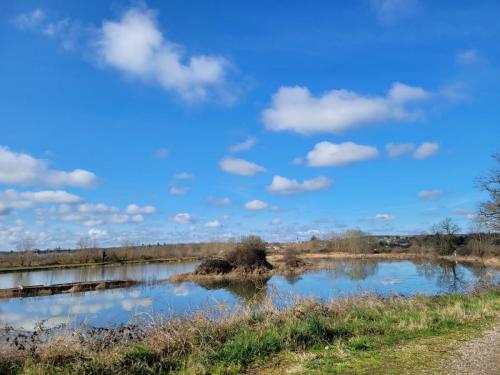 2024-03-04-BoiredesCarres13