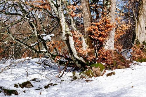 2024-03-04-StNicolas04