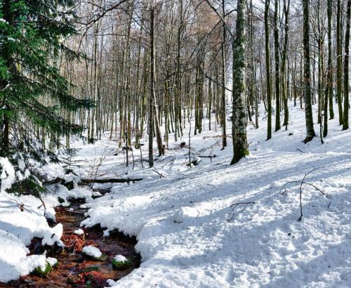2024-03-04-StNicolas15