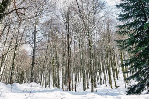 2024-03-04-StNicolas16