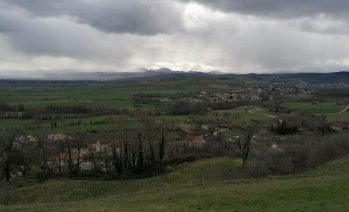 2024-03-05-Artonne11