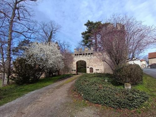 2024-03-05-Artonne21