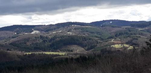 2024-03-05-Chateldon03