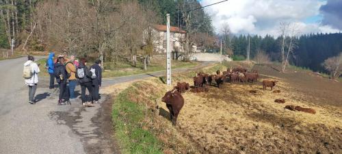 2024-03-05-Chateldon06