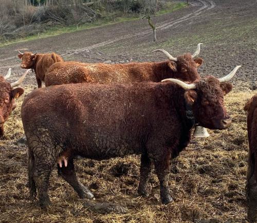 2024-03-05-Chateldon10