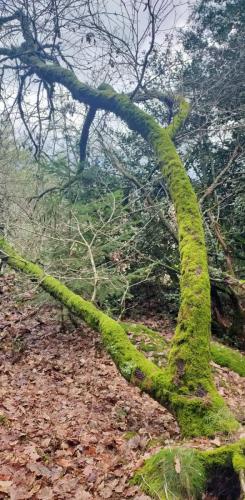 2024-03-05-Chateldon9
