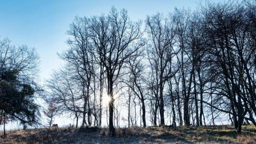 2024-03-07-ESpinasse06