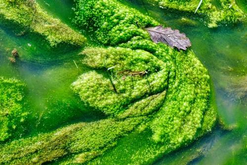 2024-03-07-ESpinasse10