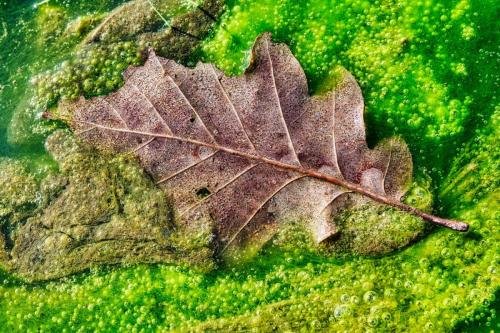 2024-03-07-ESpinasse11