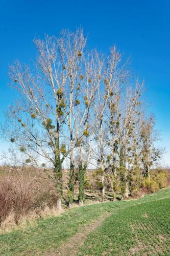 2024-03-07-ESpinasse14