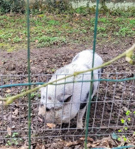 2024-03-11-Hauterive06