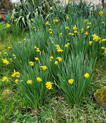 2024-03-11-Hauterive14