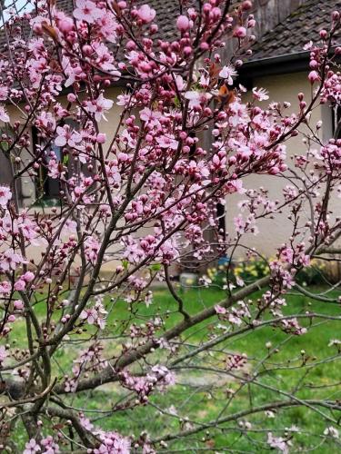 2024-03-11-Hauterive16